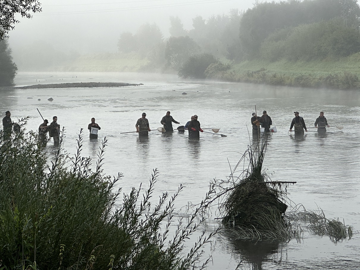 Ichtyologický prieskum na rieke Orava