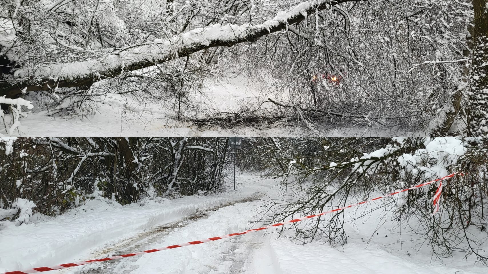 VN Žilina - upozornenie: spadnuté stromy