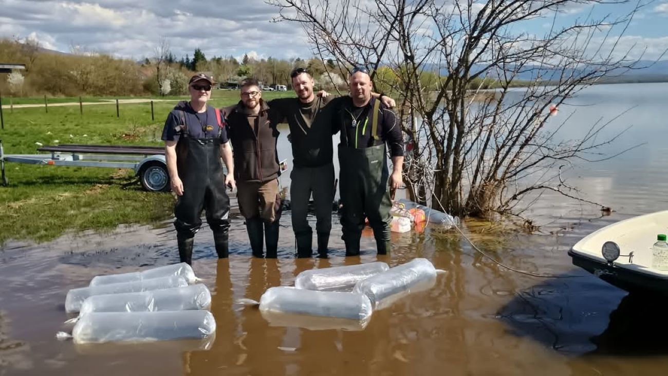 VN Zemplínska šírava, zarybnenie šťukou Šo