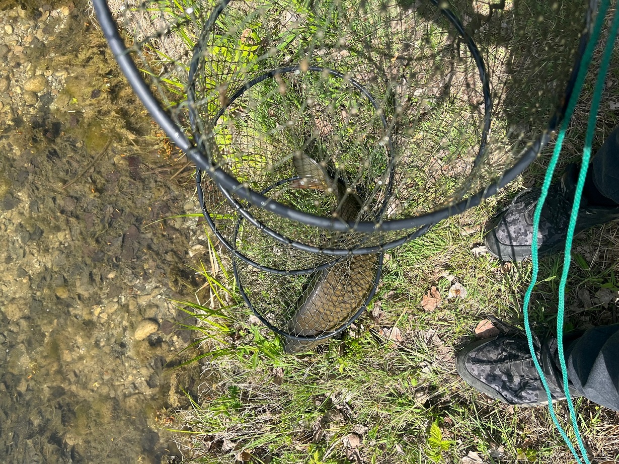 Z kontrol rybárskej stráže 22-04-2025