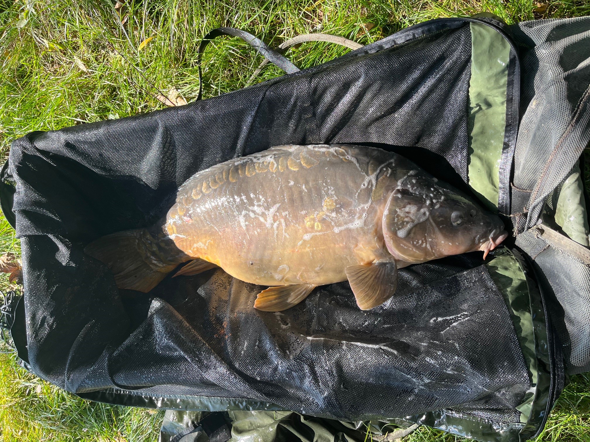 DVThYjdiwD6NmdElrpeeK7qPYXPG9T-metaMy5qcGc=-