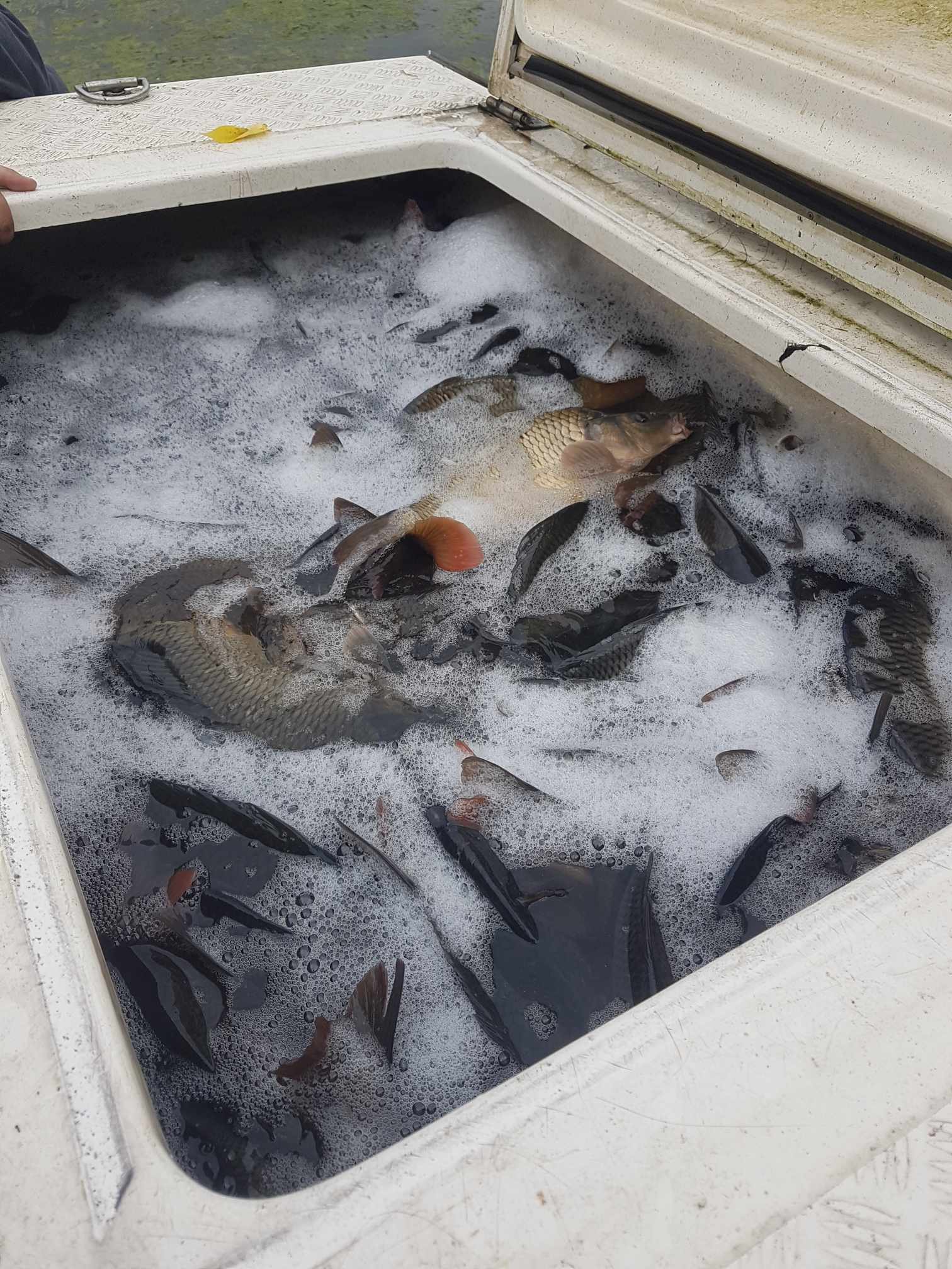 JLbq1g7c7YhCgOYI88gTNxOpJIah7c-metaMzgyMDkyMjg2XzEwMzQ1MjcwMTQyMjA3MjdfMTYzMDc2NDY3MTgxODIyMTQzNV9uLmpwZw==-