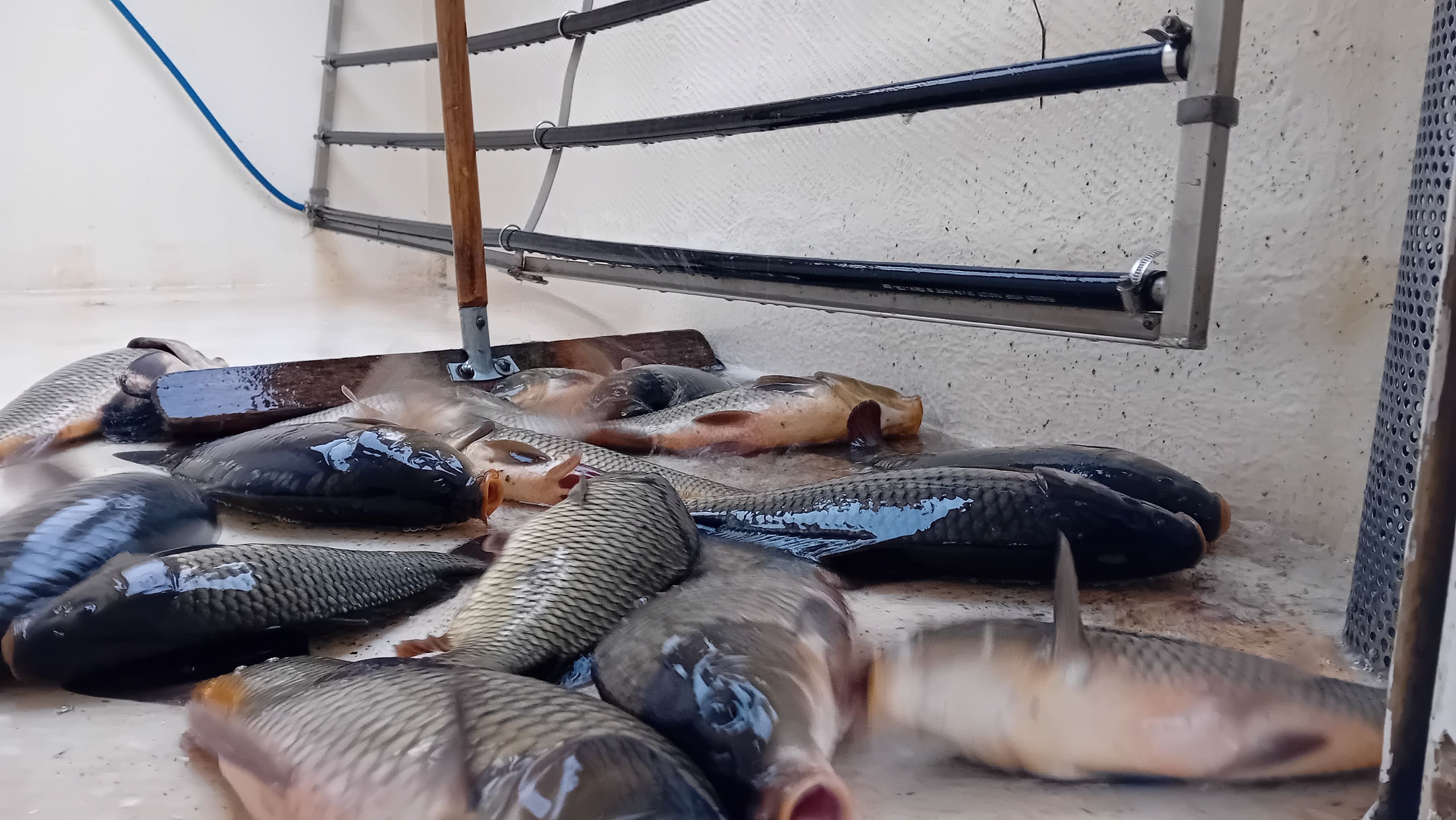 OGybo0oZlgeBKYTrgxyBa1nv87UesA-metaMjAyNTEwMThfMTY1NzQ5LmpwZw==-