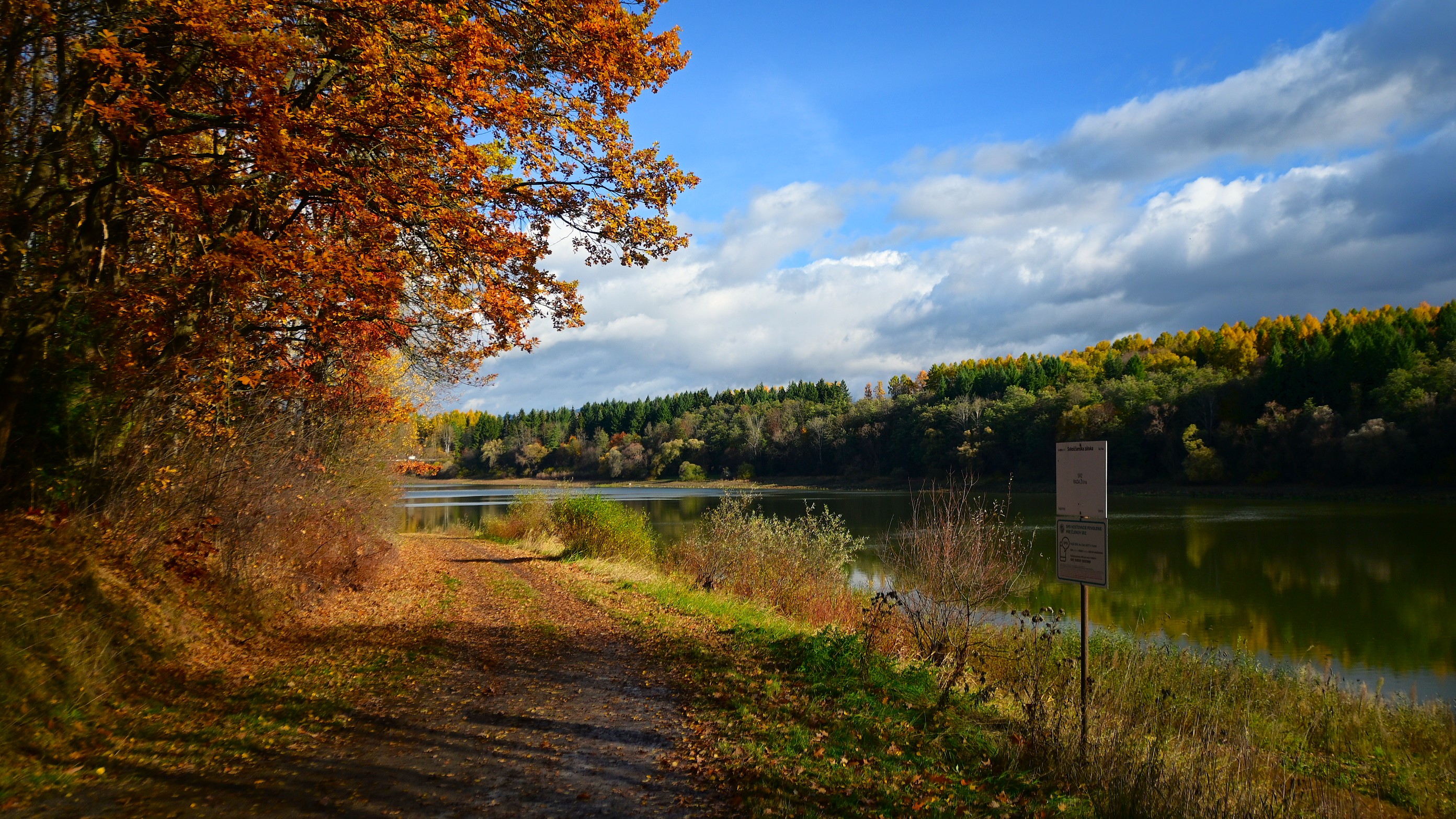 2UUVqLytqtgHMuq1wWnWA8rXh4whYM-metaRFNDXzI2NjkgcnMuSlBH-