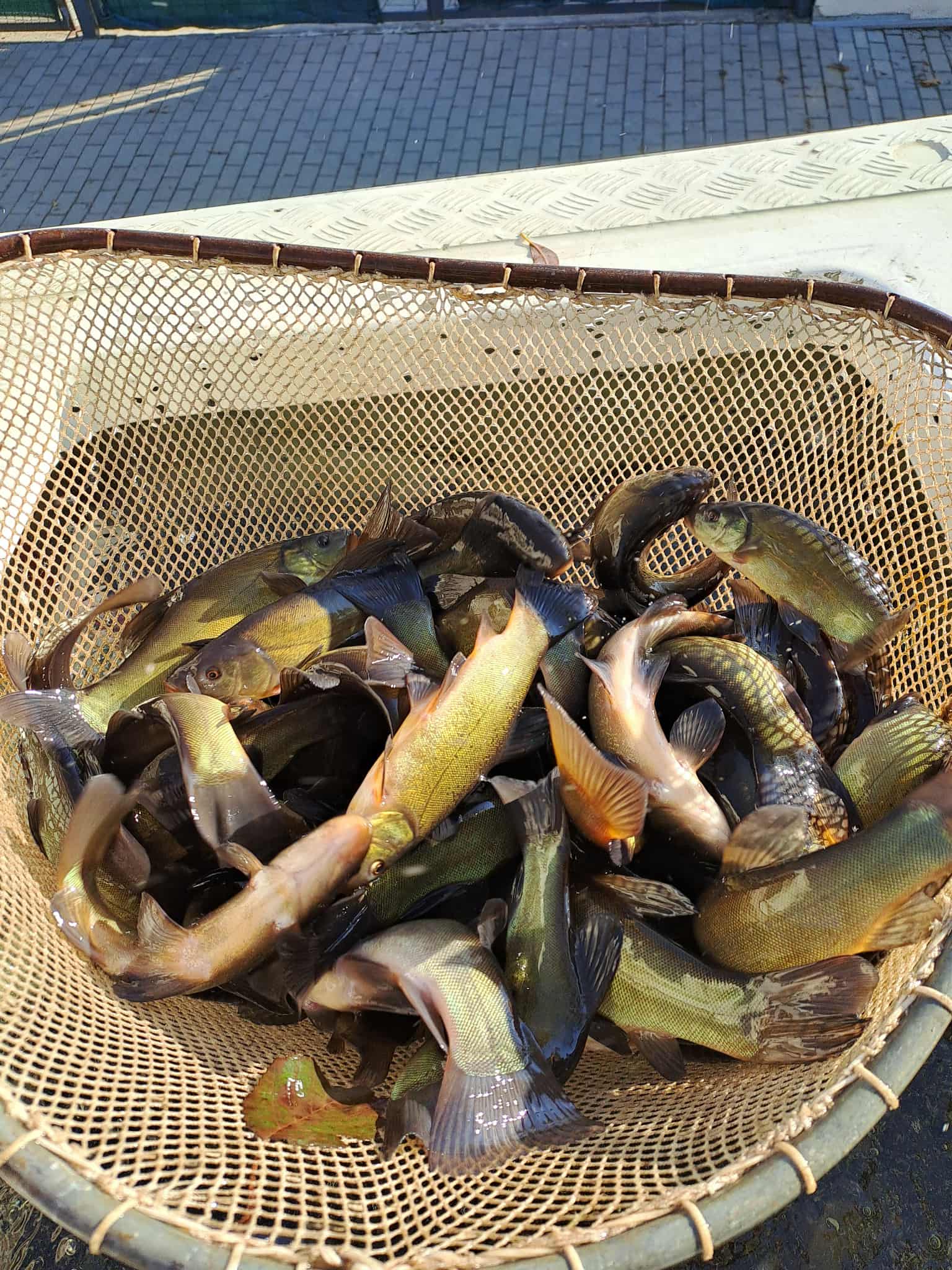 mM7TuG2jPdxPInnjQtl7PSfJYcWY5V-metabsOhc2FkYSBMaWXFiGEgMi5qcGc=-