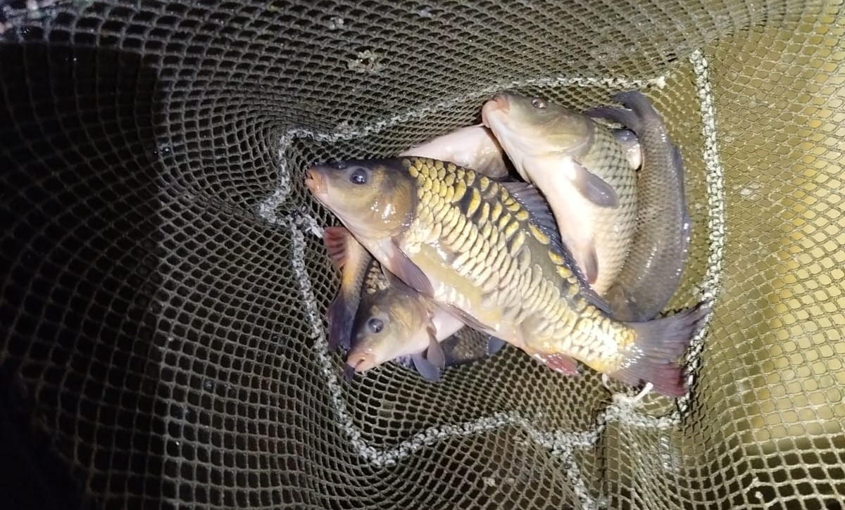 8mOh58aCWbErwAUQqwB0oskfeYgbf3-metaSU1HLTIwMjUxMTE1LVdBMDAwMS5qcGc=-