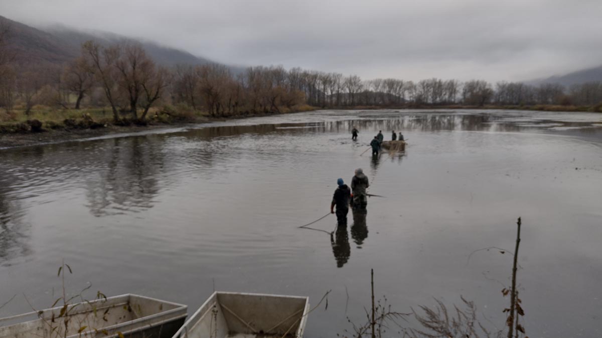 Aktivita našej skupiny v novembri. Najprv sme sa zúčastnili výlovu v Hrhove.