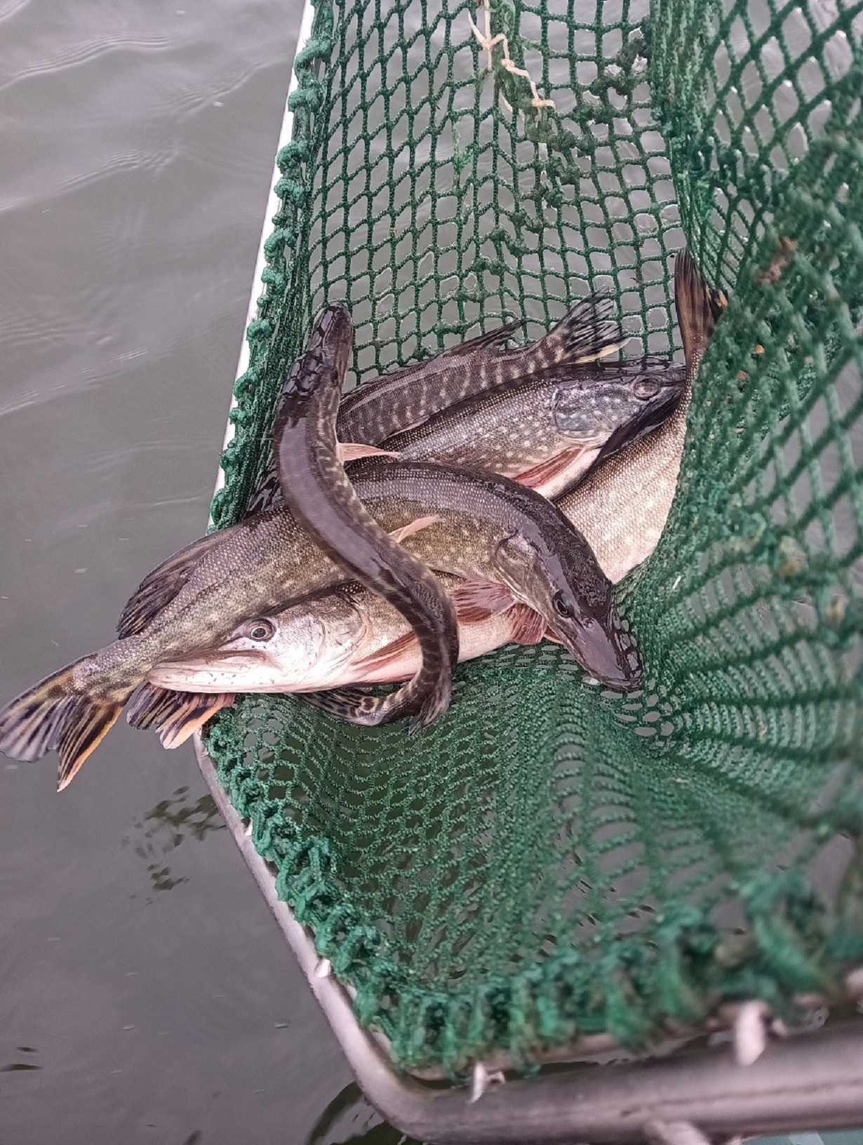 jghvLbZovwk8fnwyqtUW10Phat5B3d-metaw7p2b2QuanBn-