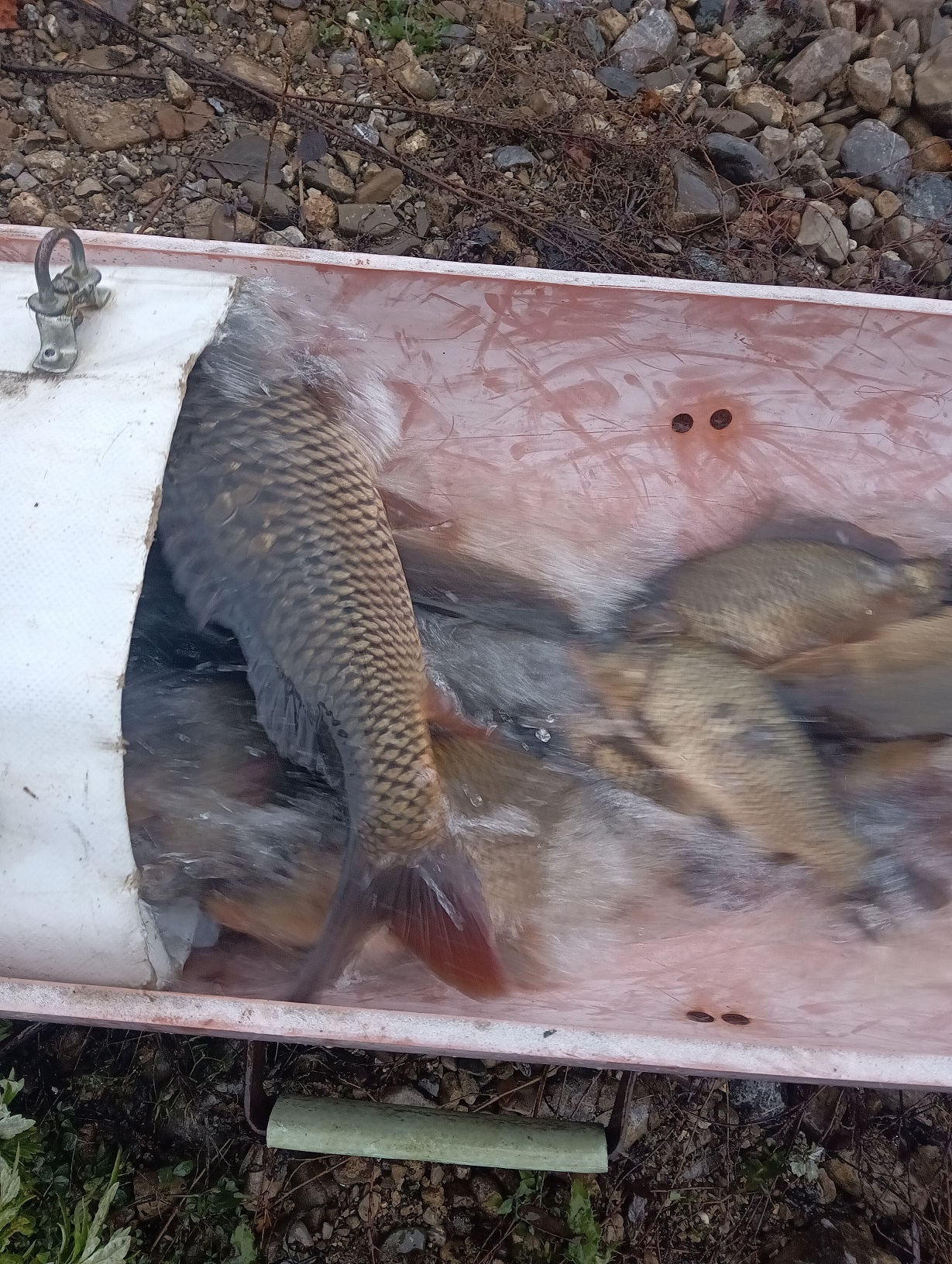 nvmjZyjAx0wGvGqJ6o6rWLhN5TuSdg-metaSU1HXzIwMjUxMTI2XzEyMDY1MzM5OC5qcGc=-