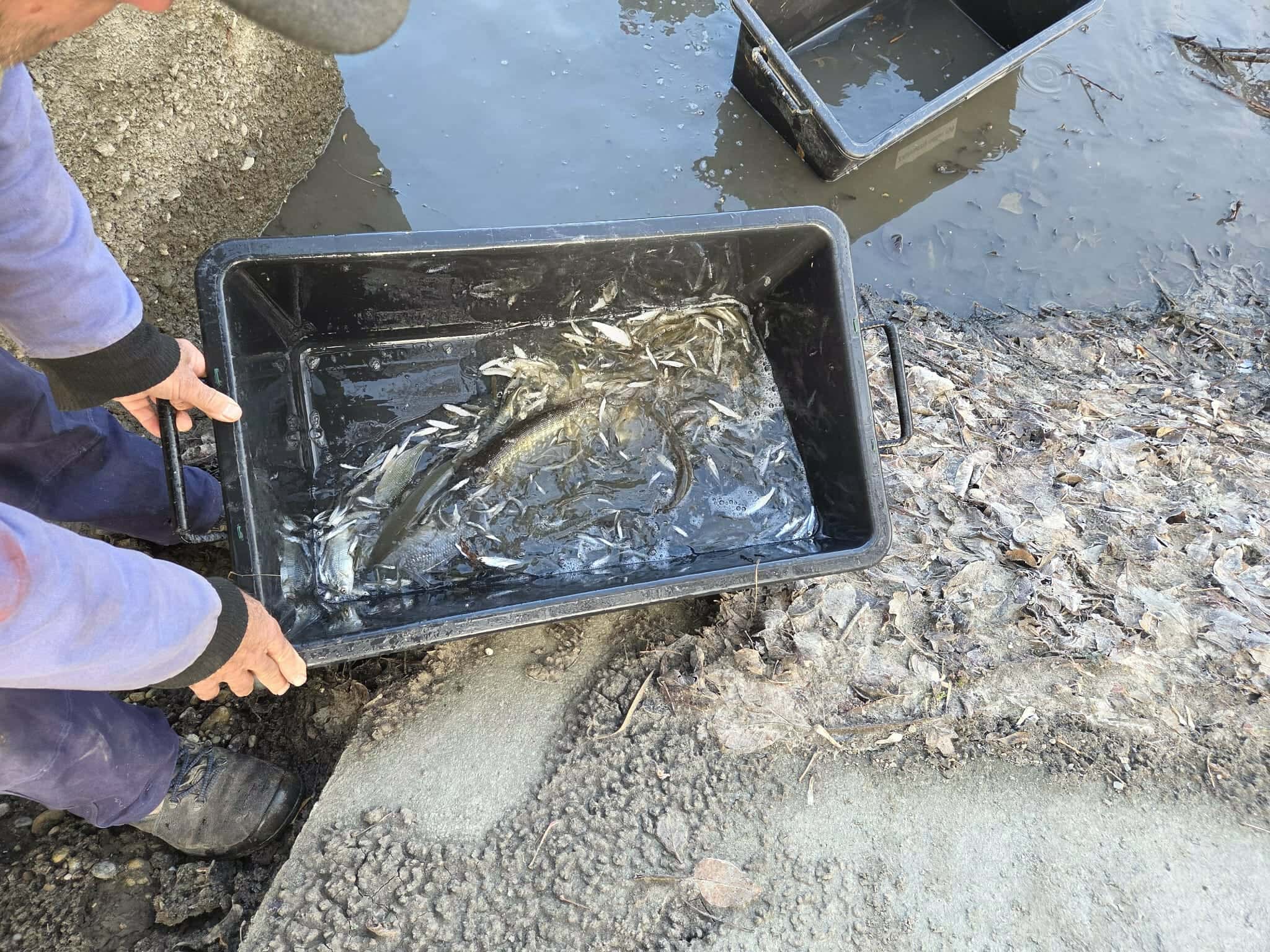 x4At7tpqMv2zCzaMsLJ8xveZdWKnC1-metaNTkwMjMzNzc0XzEzMjQxODE3NDI3OTEyNDZfMjgwNzM3NjcwMjA4NDk5MjUwNl9uLmpwZw==-