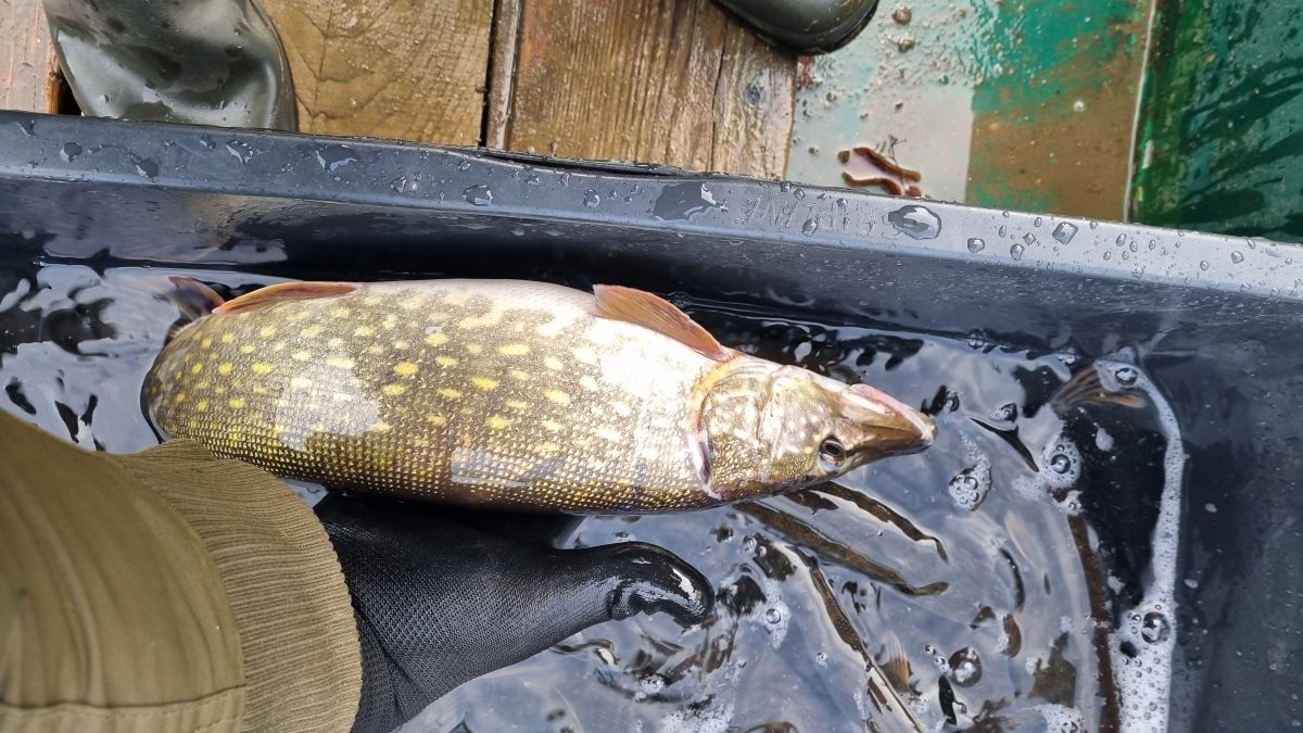 CE7dS9oNGiVusx0NvKmoEsvNlKWaPv-metac3R1a2FhYS5qcGc=-