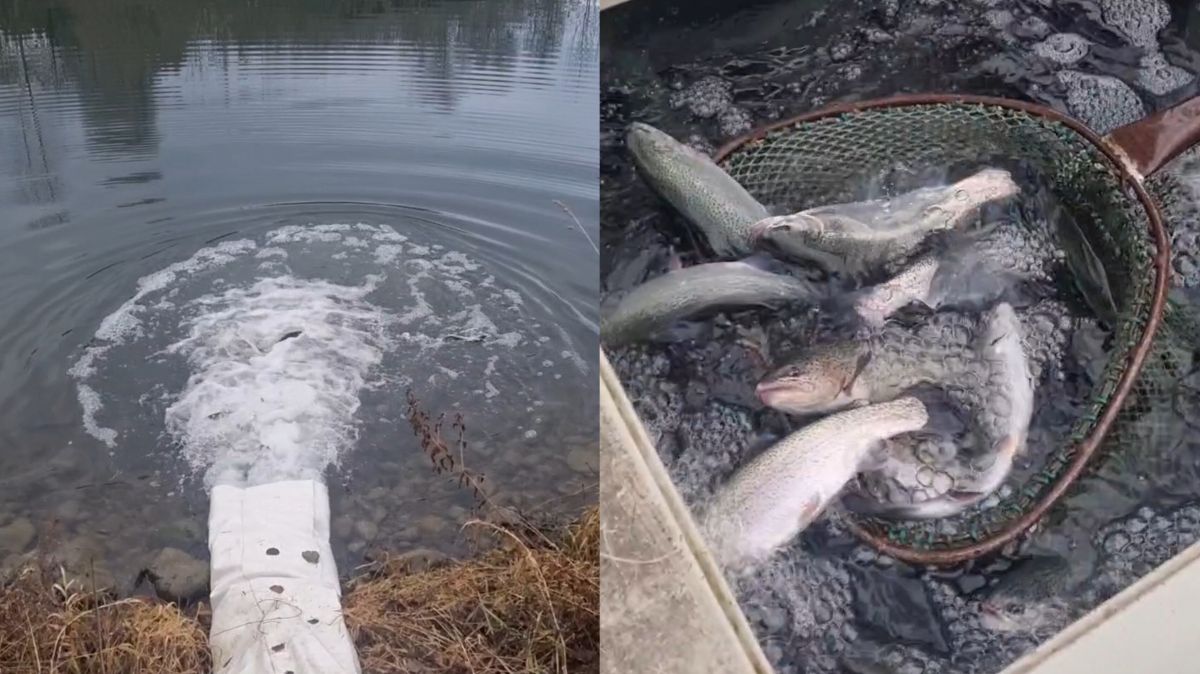 vGz8CxrNkcNiXhm47xYpQor9IMCDQU-metaSW5TaG90XzIwMjUxMjA1XzE1MDkwNDQ2Ny5qcGc=-