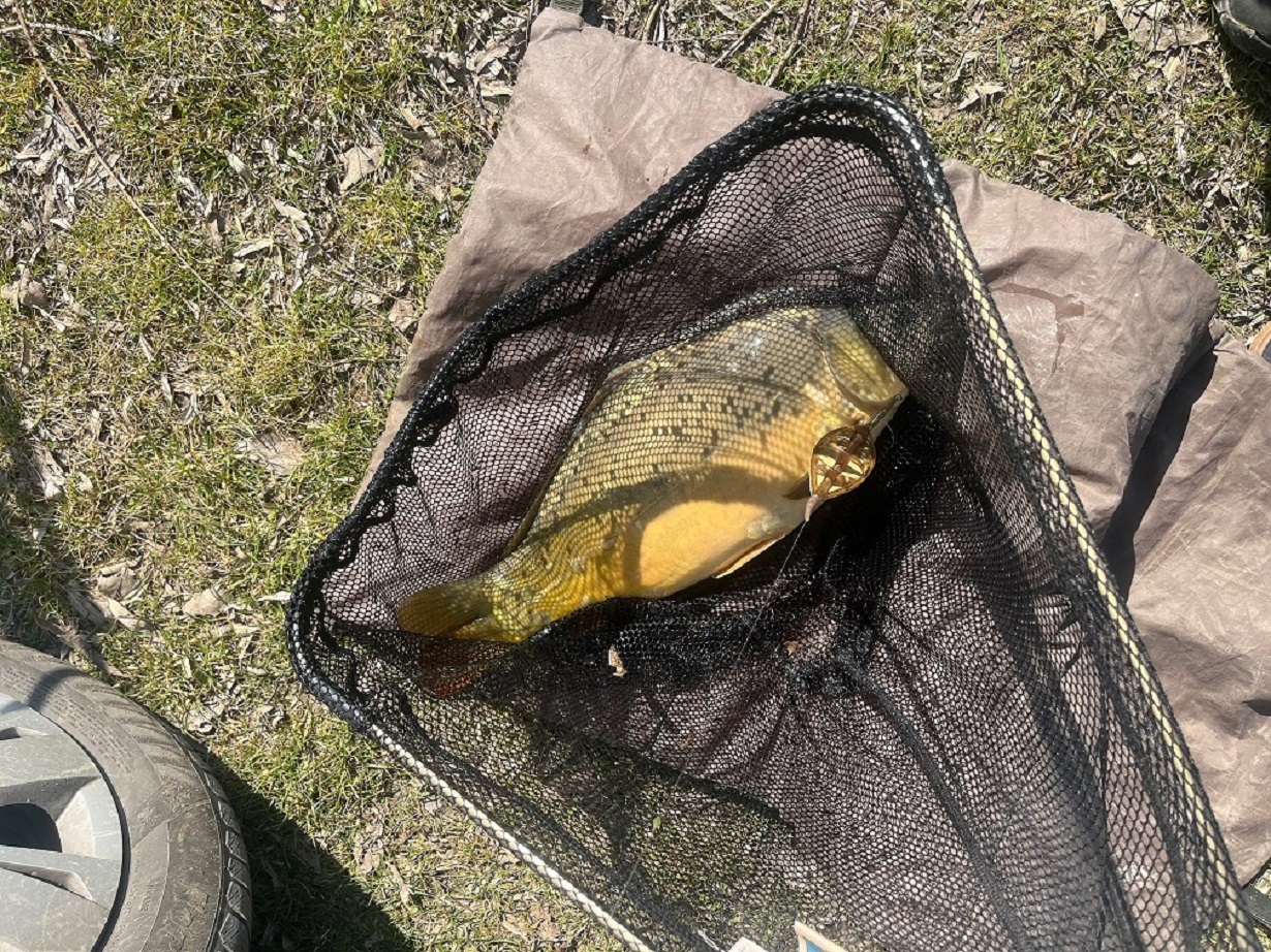 Kontroly rybárskej stráže v MO SRZ Nové Mesto nad Váhom 14-03-2026