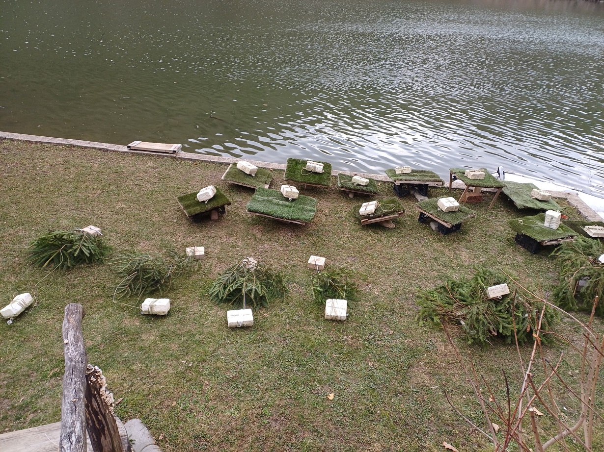 Podpora prirodzeného výteru rýb na VN Ružín