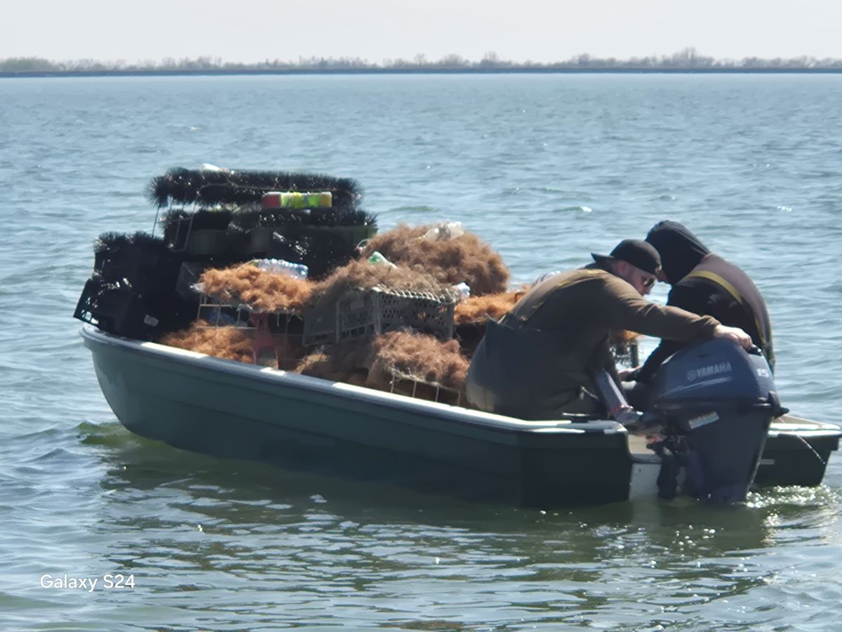 Neresové hniezda aj na šírave