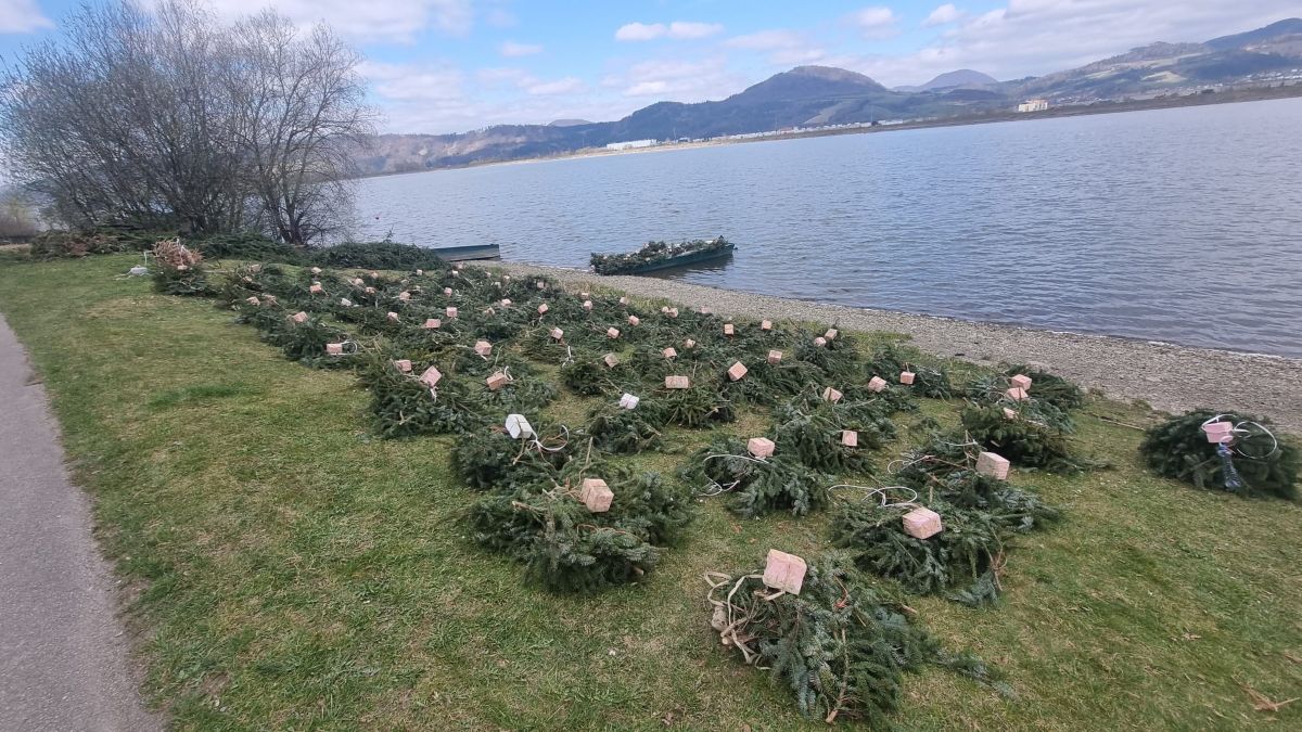 VN Žilina: podpora prirodzeného neresu rýb - apríl 2026
