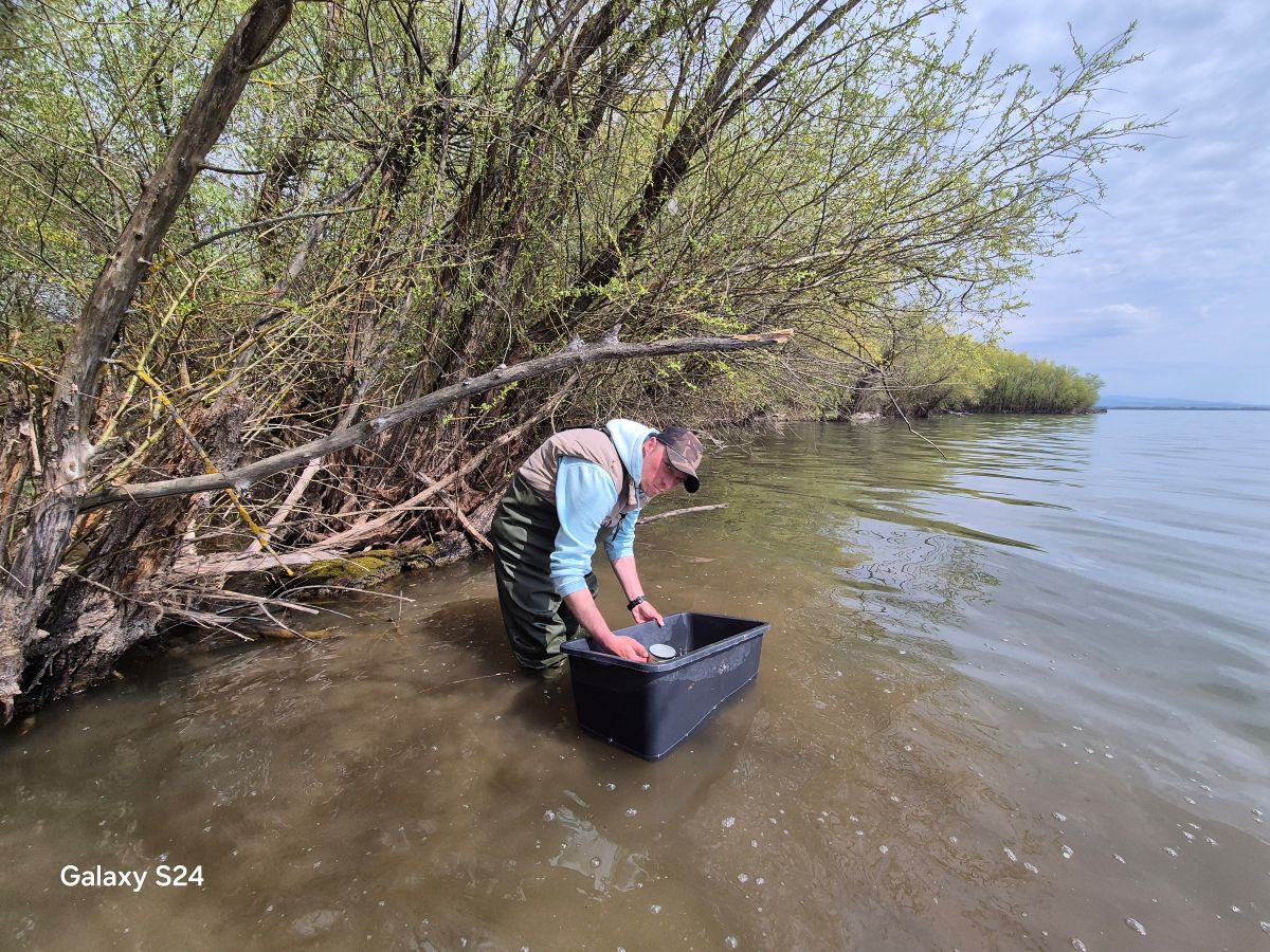 Dňa 14.apríla sme na Zemplínskej šírave zarybňovali.