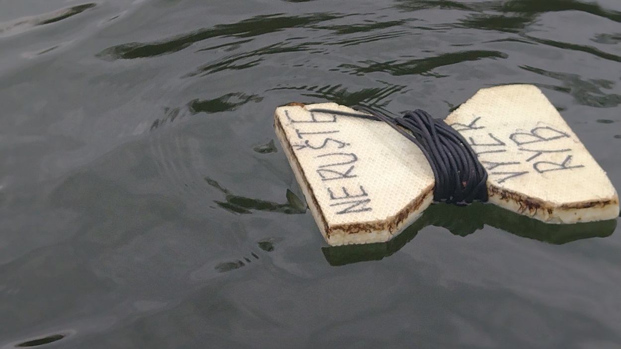 Kontrola vysadených výterových hniezd