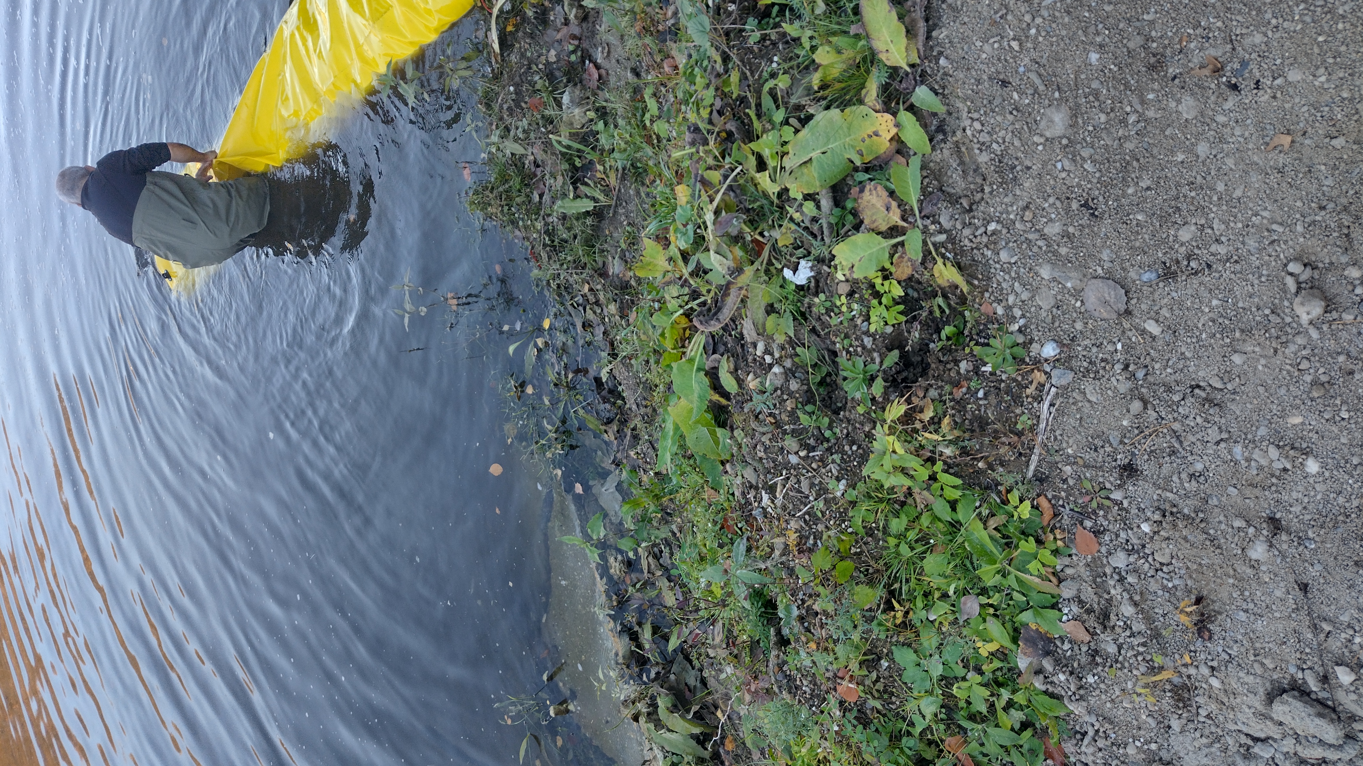 Už sú v novom domove.