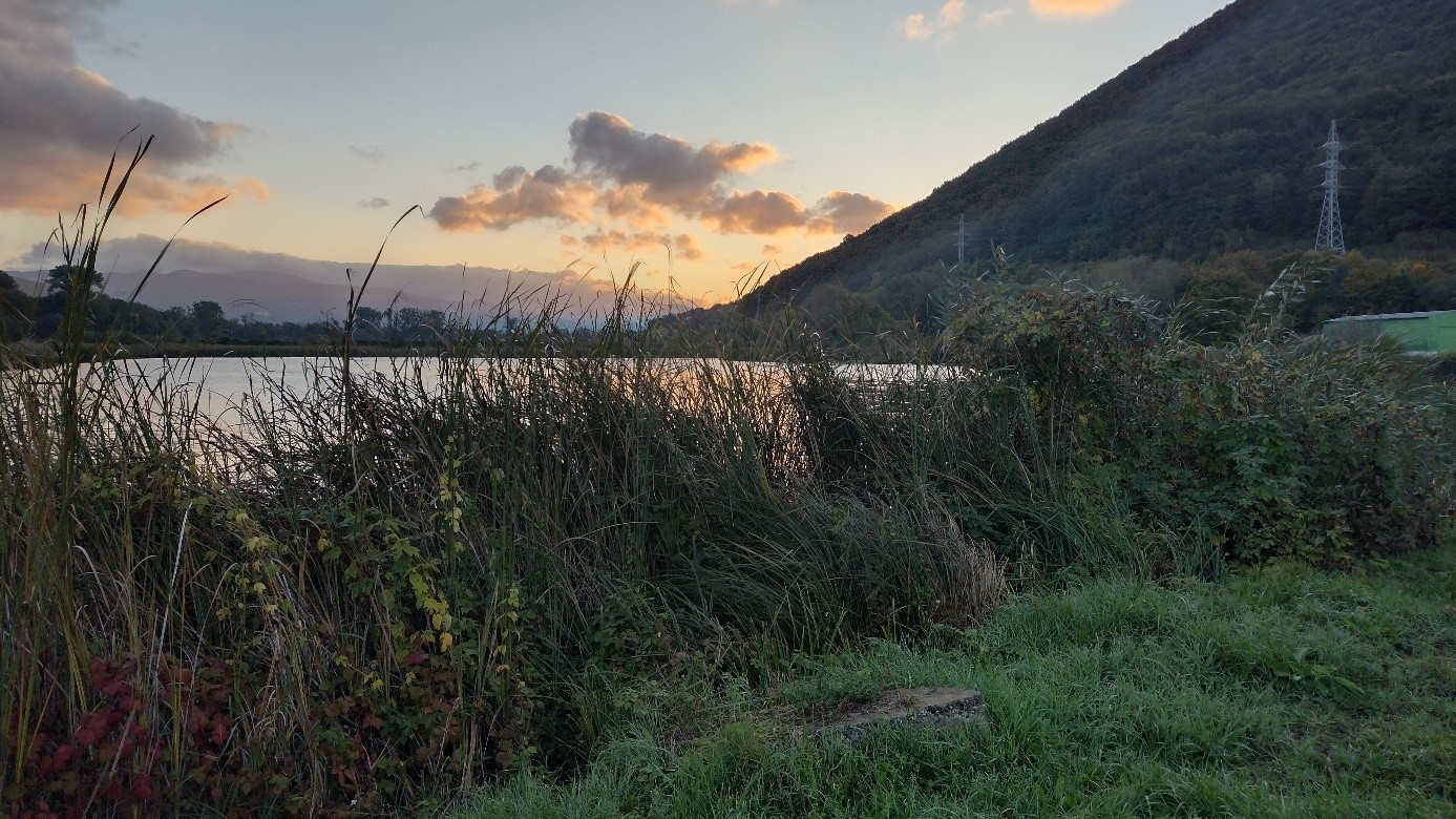 Pohľad na rybník v Brzotíne