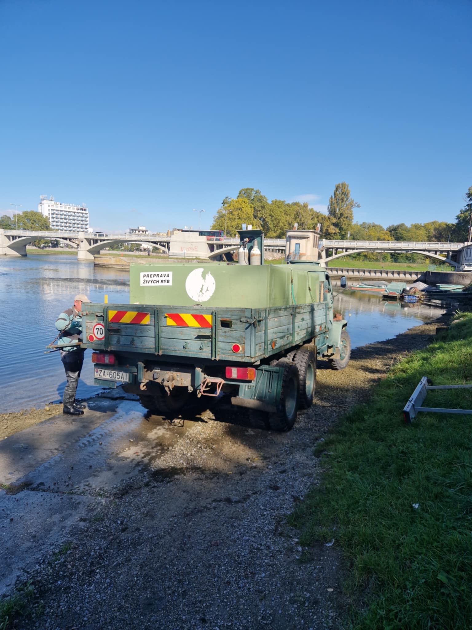 násada z rybníka Mankovce