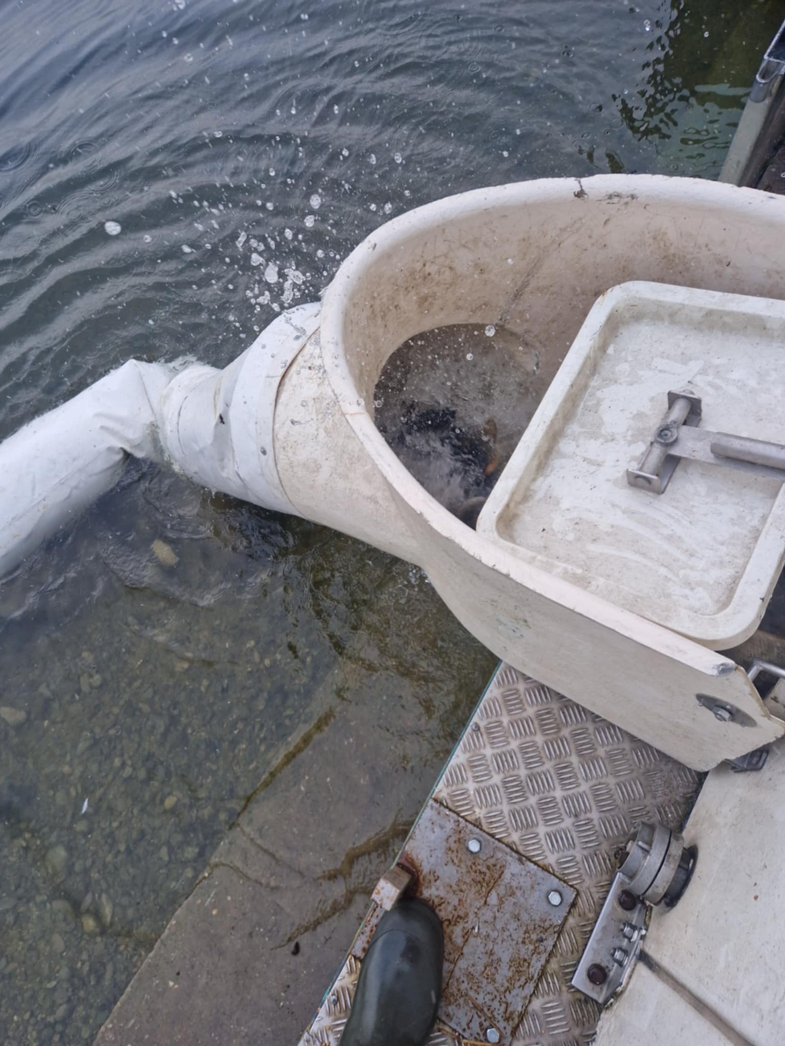 vypúšťanie násady