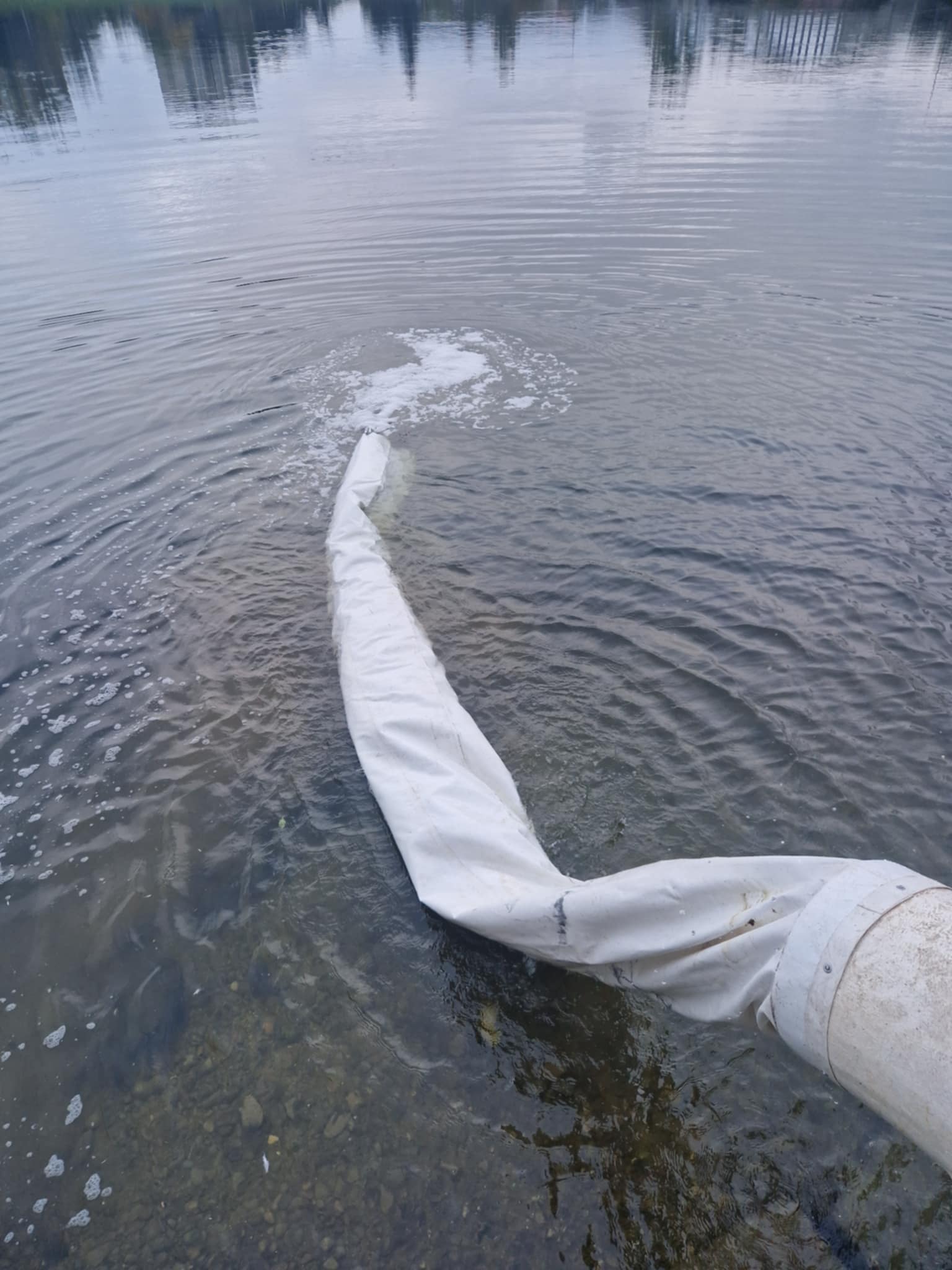 vypúšťanie násady