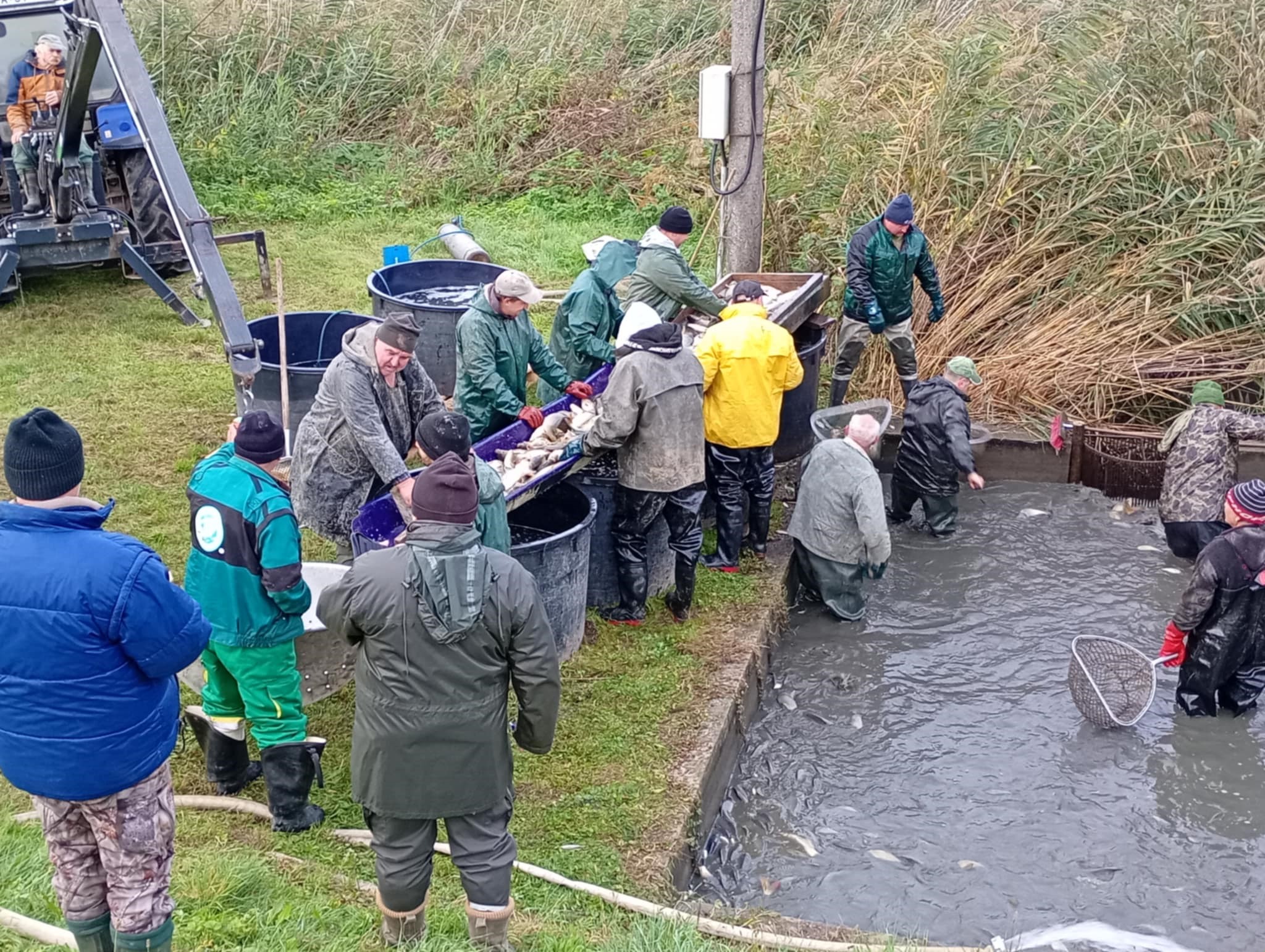 Pri výlove je dôležité riadenie práce lovnej skupiny a súčinnosť všetkých zúčastnených 