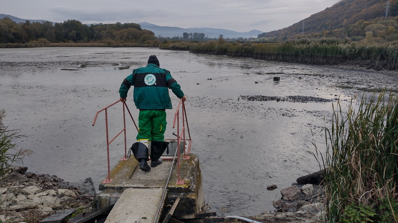 14.10. 2025 pohľad na spustený Olšový rybník 